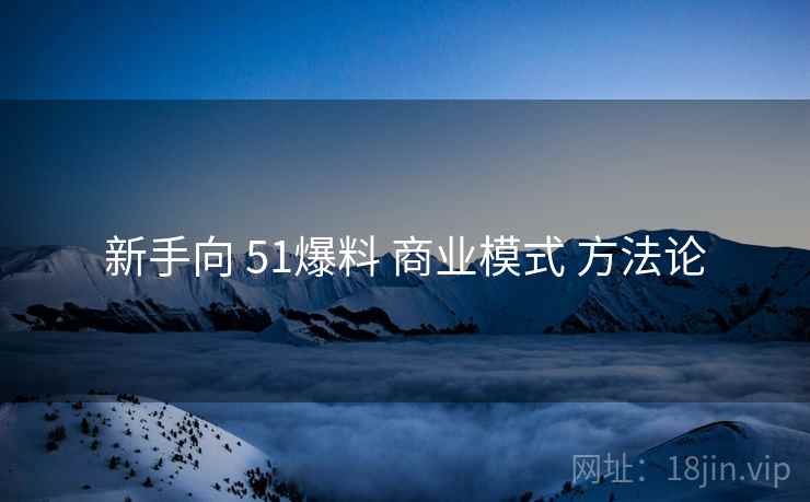 新手向 51爆料 商业模式 方法论  第2张