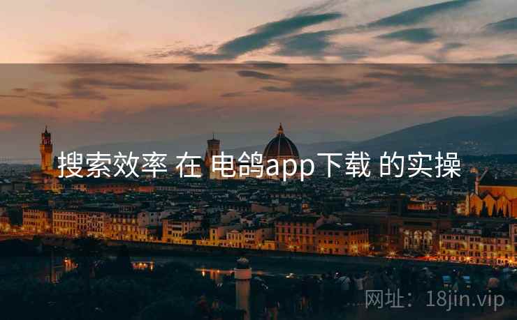 搜索效率 在 电鸽app下载 的实操