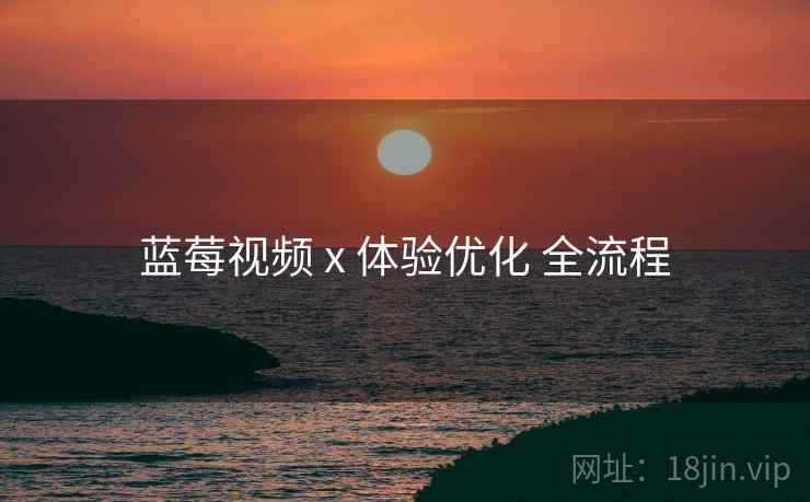 蓝莓视频 x 体验优化 全流程