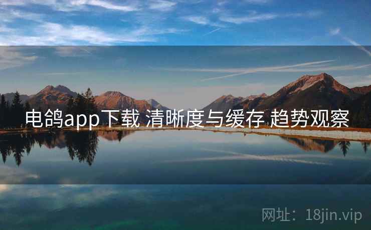 电鸽app下载 清晰度与缓存 趋势观察