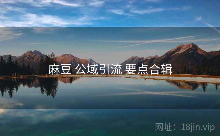 麻豆 公域引流 要点合辑 第2张 麻豆 公域引流 要点合辑 第2张