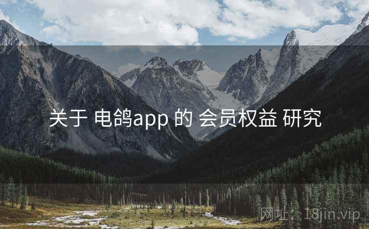 关于 电鸽app 的 会员权益 研究
