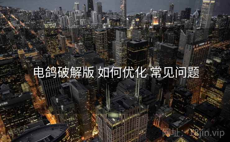 电鸽破解版 如何优化 常见问题