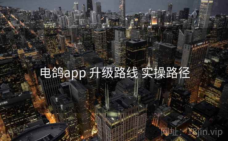 电鸽app 升级路线 实操路径
